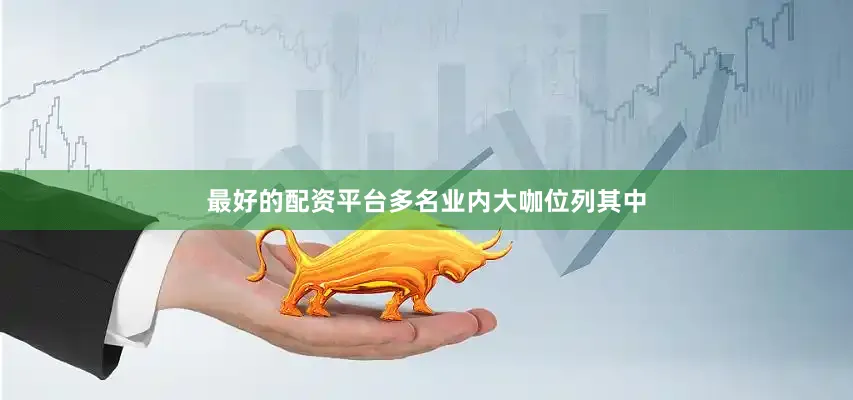 最好的配资平台多名业内大咖位列其中