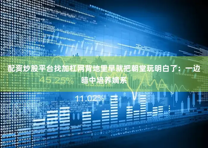 配资炒股平台找加杠网背地里早就把朝堂玩明白了：一边暗中培养嫡系
